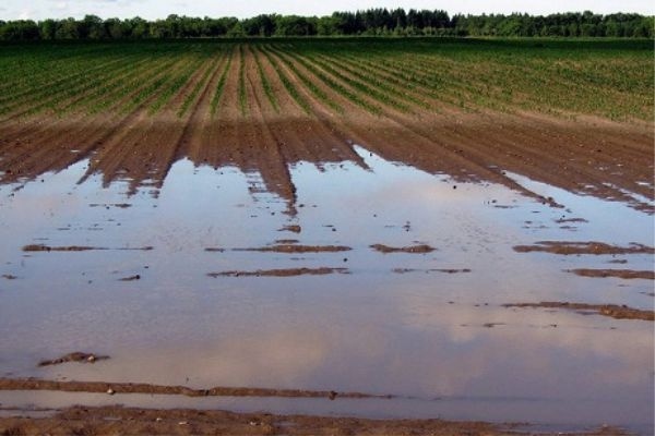 Rozpoczął się nabór dla gospodarstw położonych na obszarach OSN